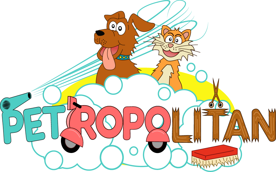 pet grooming services at home in delhi and NCR