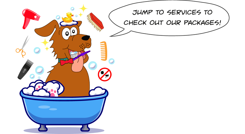 pet grooming services at home in delhi and NCR