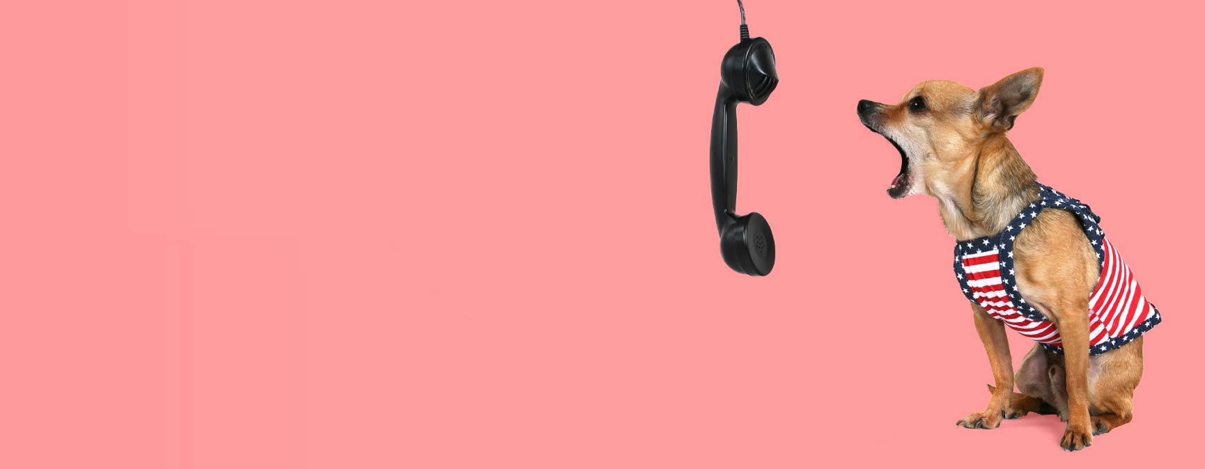 Pet grooming for the Pewfect Look! Petropolitan is the best pet